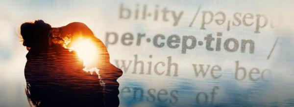 Who Can Become an Expert? NYU Shanghai Researcher Says General Perceptual Learning Ability Matters