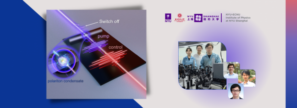 Ultrafast Polariton Switch Realized by Institute of Physics Members