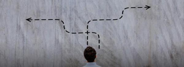 Neural Science Researchers Find Brain Region and Process that Turns Decisions into Actions