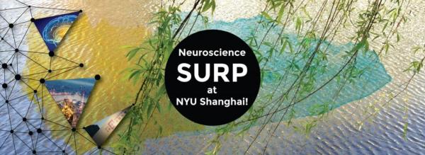 Nurturing Science Careers: NYU Shanghai’s Incubator for Future Neuroscientists