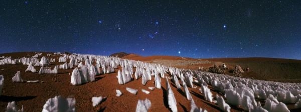 NYU Shanghai Scientist Participates in Breakthrough in the Understanding of Stone Forests